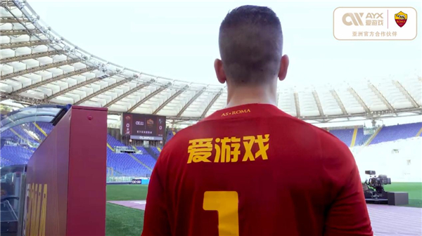 为载体的交