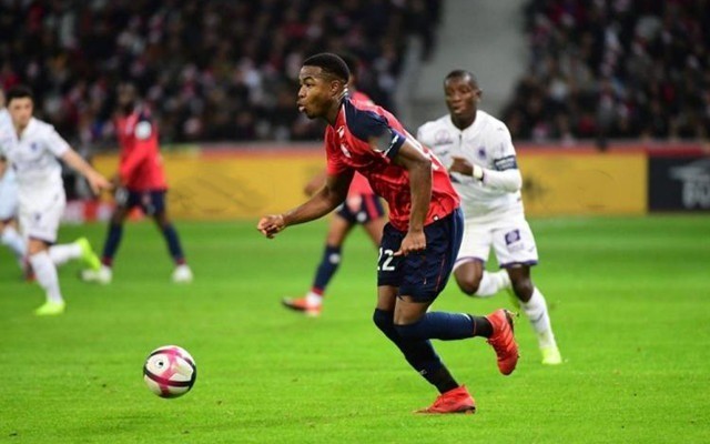 特质高度契 特质高度契